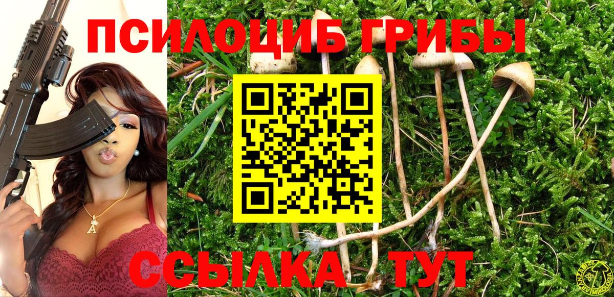 цена   Вход с VPN  Псилоцибиновые грибы Psilocybine cubensis  Ростов Великий  Псилоцибиновые грибы Cubensis 